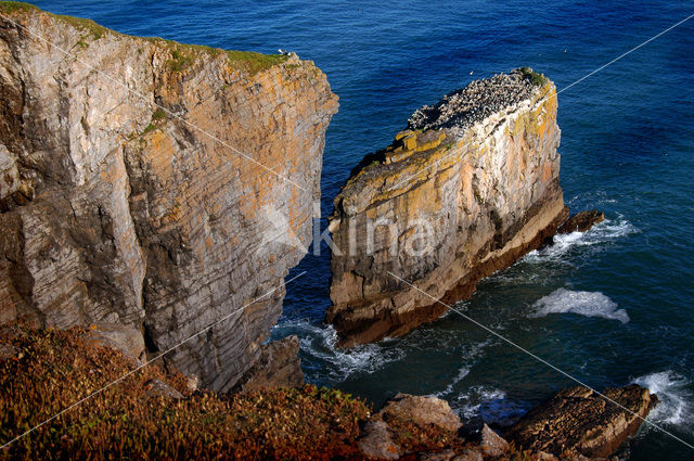 Pembrokeshire Coast National Park