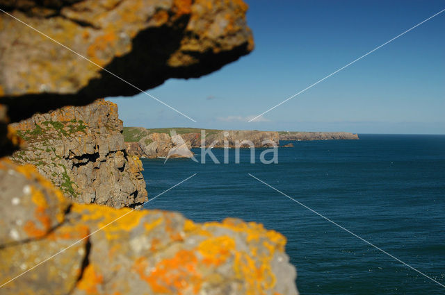 Pembrokeshire Coast National Park