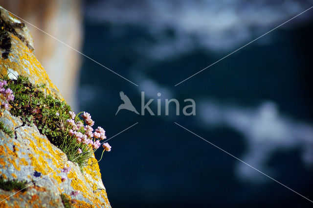 Pembrokeshire Coast National Park