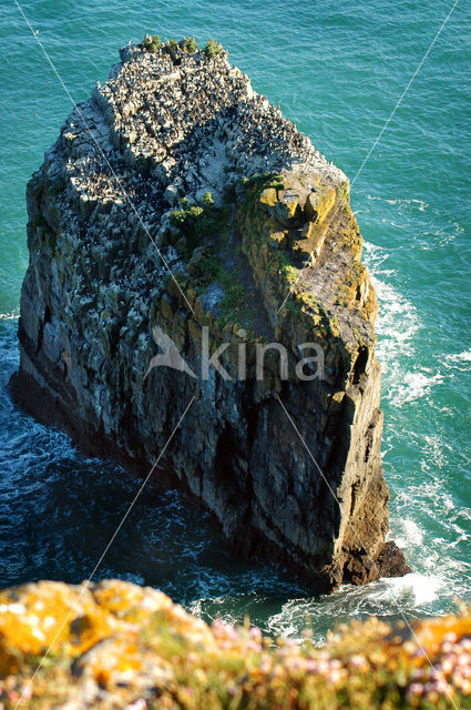 Pembrokeshire Coast National Park