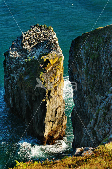 Pembrokeshire Coast National Park