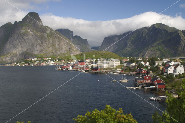 Reine