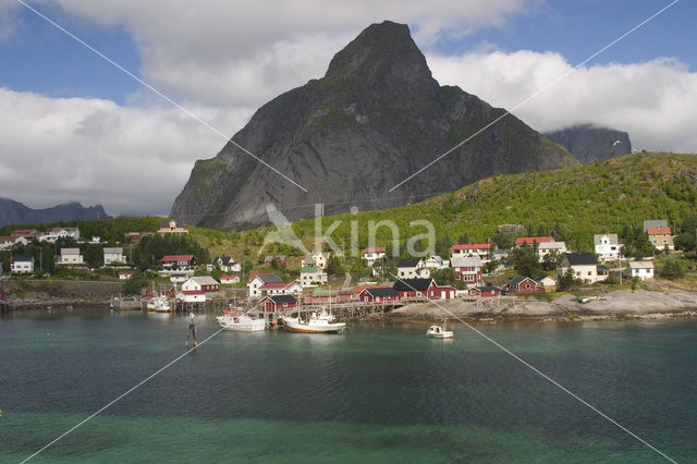 Reine