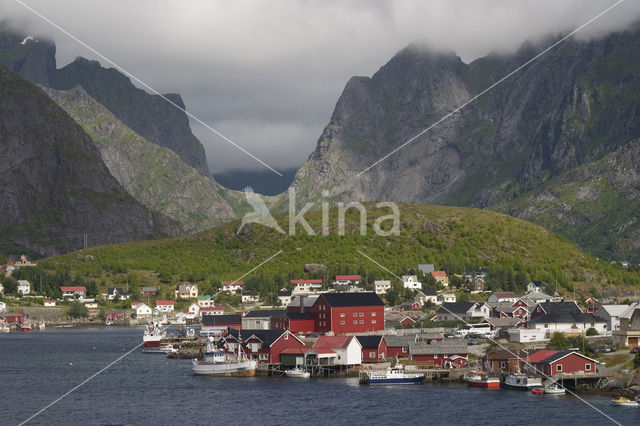 Reine