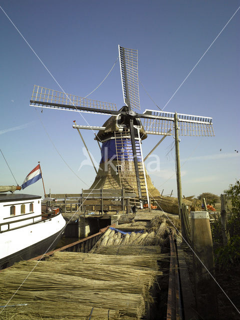 Molen De Rietvink