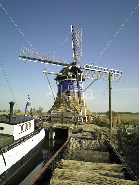 Molen De Rietvink