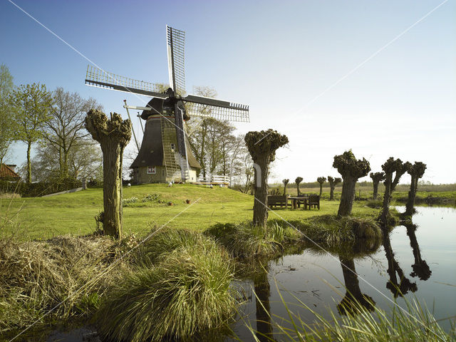 Molen De Reiger