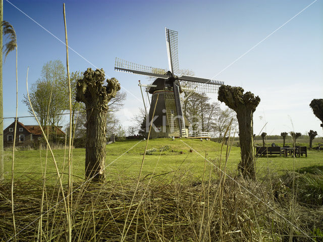 Molen De Reiger