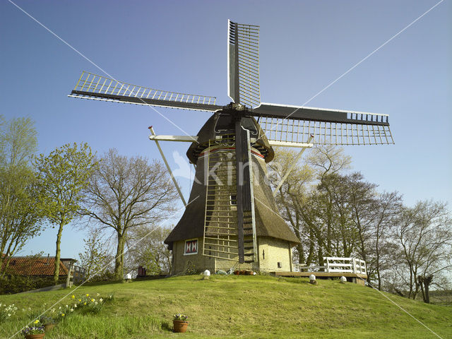 Molen De Reiger