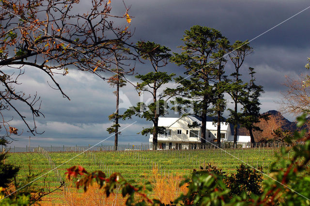 Stellenbosch