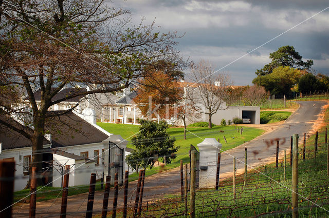 Stellenbosch