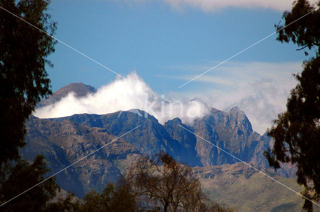 Stellenbosch