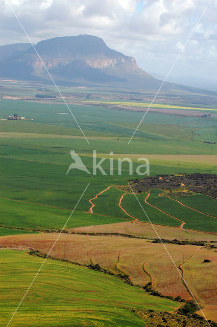 Zuid-Afrika