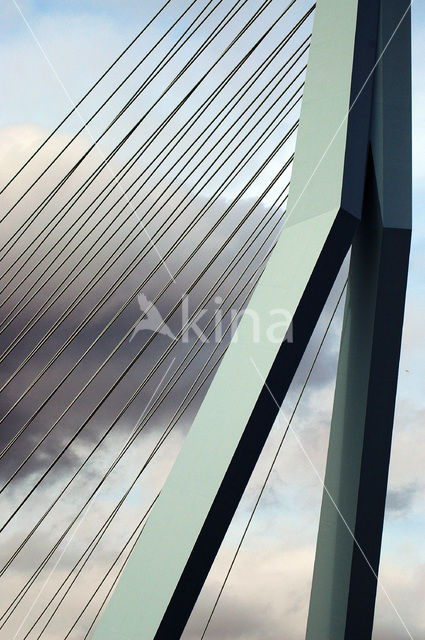 Erasmusbrug