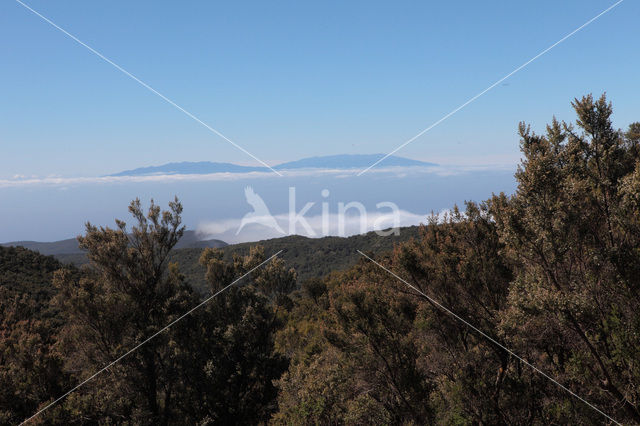 La Gomera