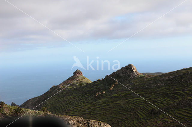 La Gomera