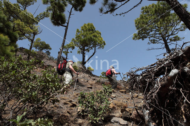 La Palma