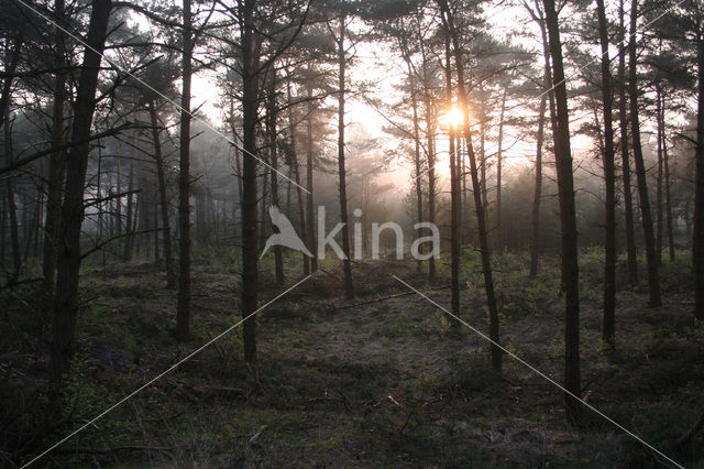 National Park Cross-border park De Zoom