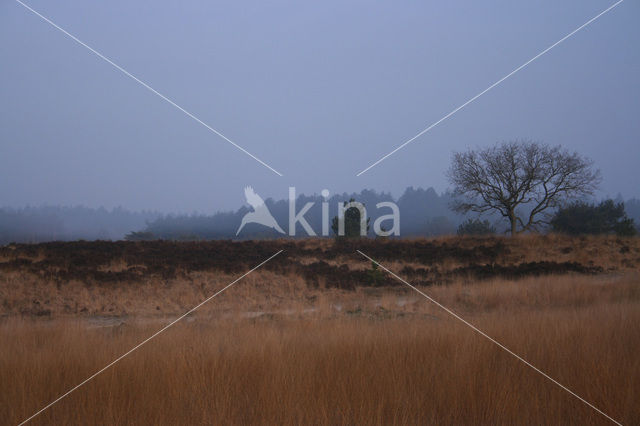 National Park Cross-border park De Zoom