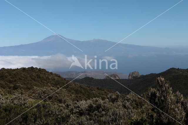 Parque Nacional de Garajonay