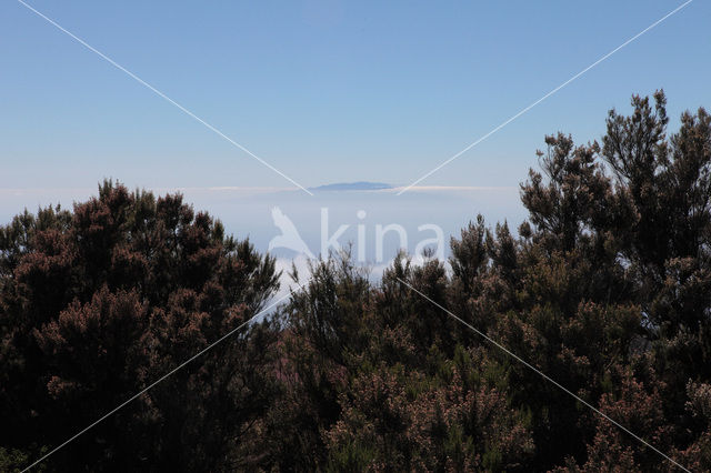 Parque Nacional de Garajonay