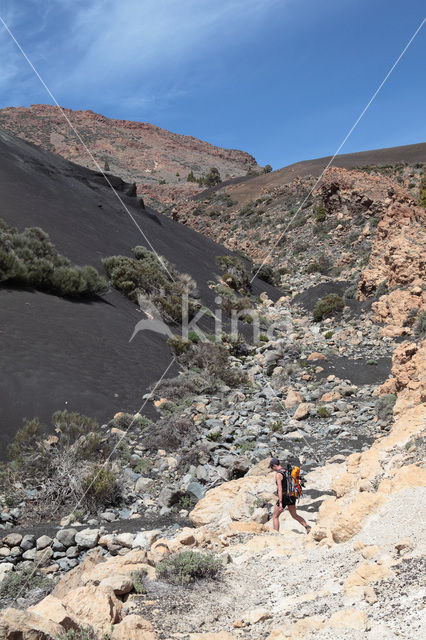 Parque Nacional de Pico del Teide