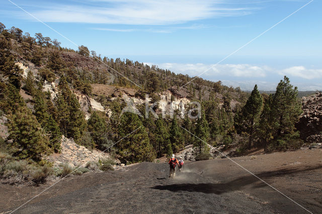 Pico del Teide National Park