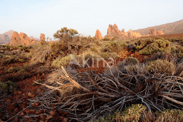 Parque Nacional de Pico del Teide