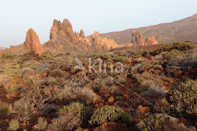 Pico del Teide National Park