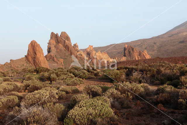 Parque Nacional de Pico del Teide