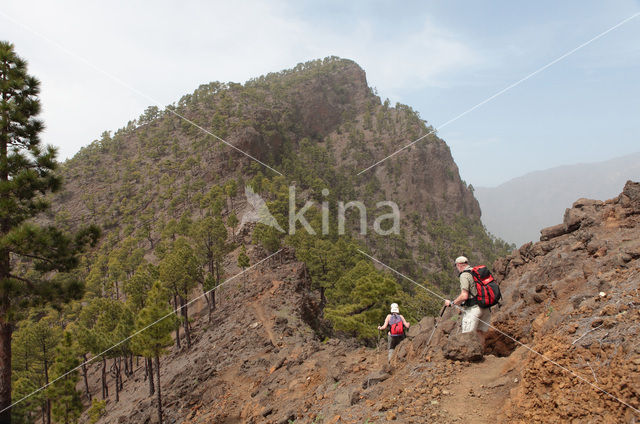 Pico Bejenado