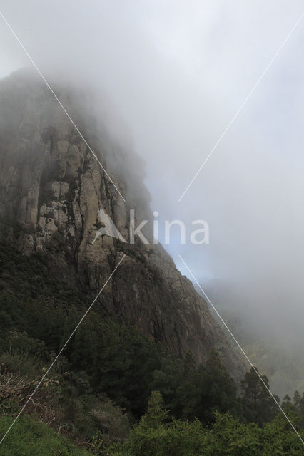 Roque de Agando