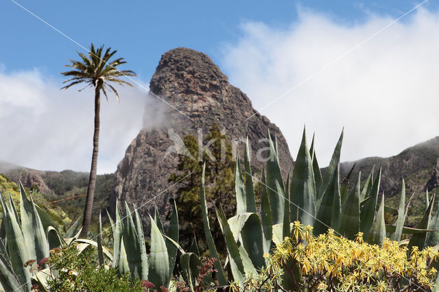 Roque de Agando