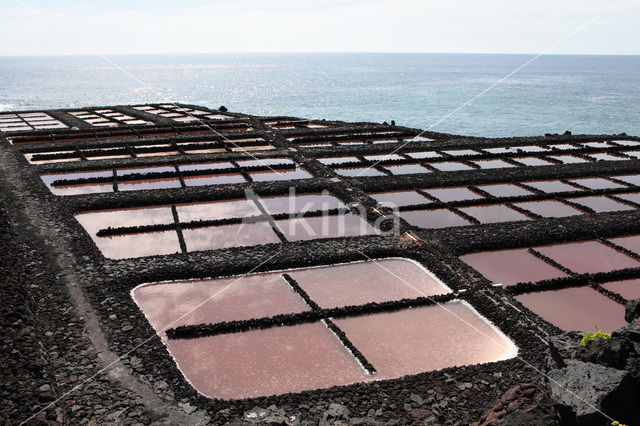 Salinas de Fuencaliente