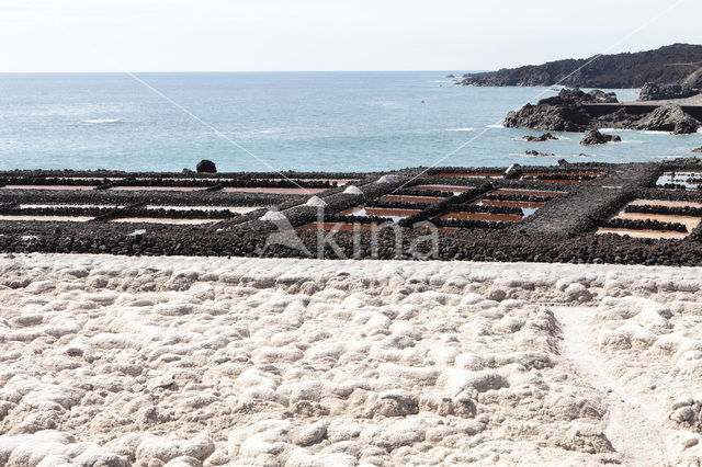 Salinas de Fuencaliente