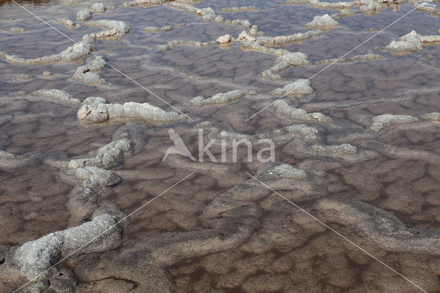 Salinas de Fuencaliente