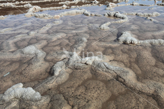 Salinas de Fuencaliente