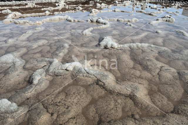 Salinas de Fuencaliente