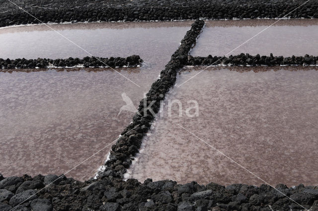 Salinas de Fuencaliente