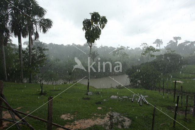 Tamshiyacu Tahuayo Reserve