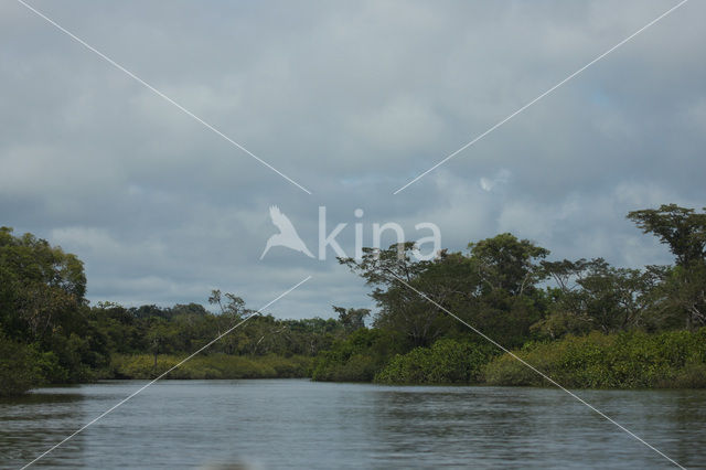 Tamshiyacu Tahuayo Reserve