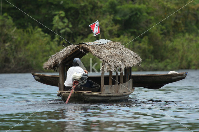 Tamshiyacu Tahuayo Reserve