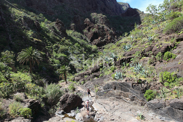 Teno Mountains