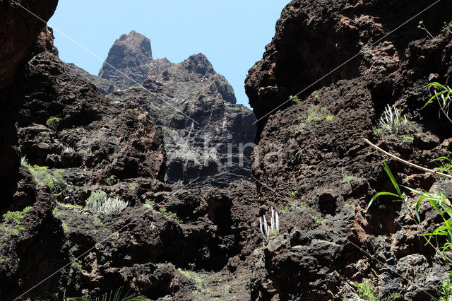 Teno Mountains