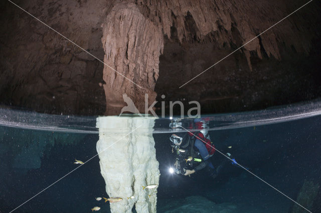 Bat Cave Cenote