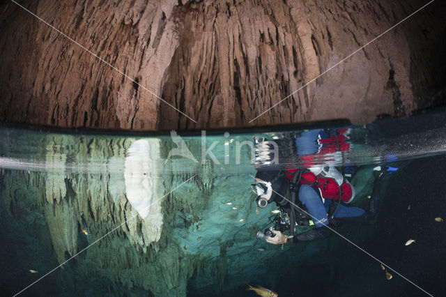 Bat Cave Cenote