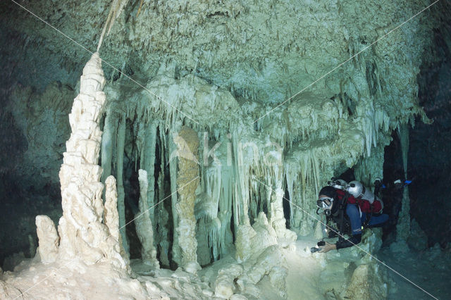 Bat Cave Cenote