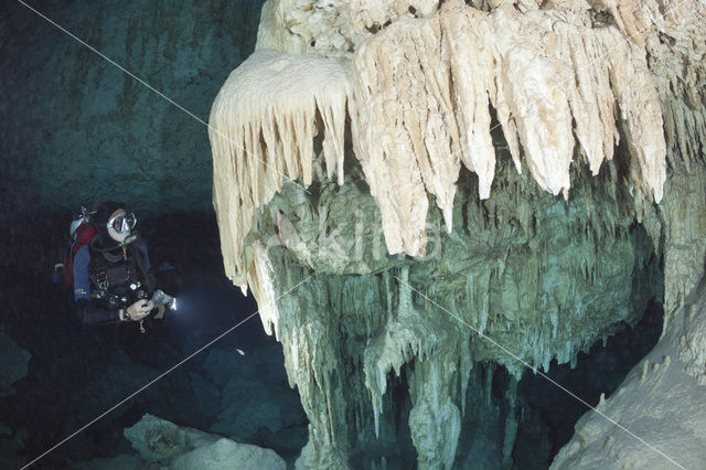 Bat Cave Cenote