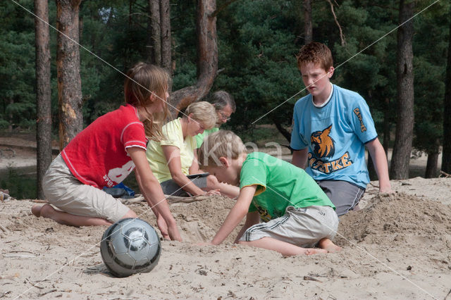 Boswachterij Ommen