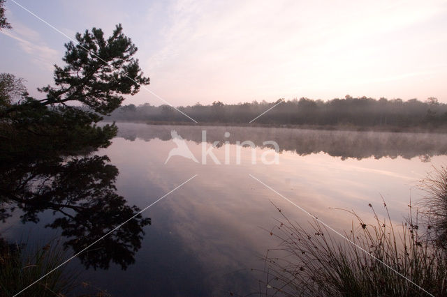 Boswachterij Staphorst